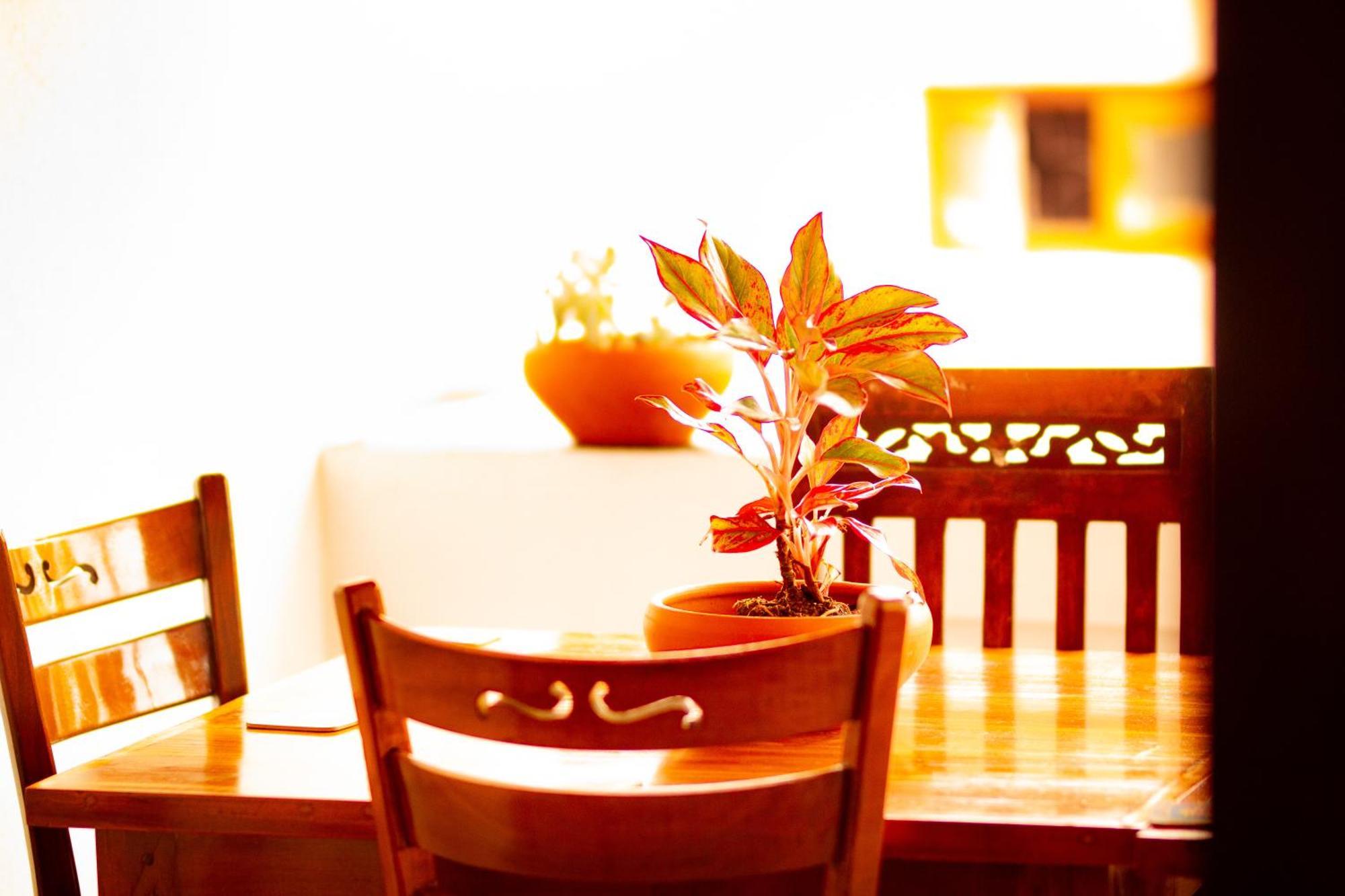 Golden Town Hotel Tangalle Bagian luar foto